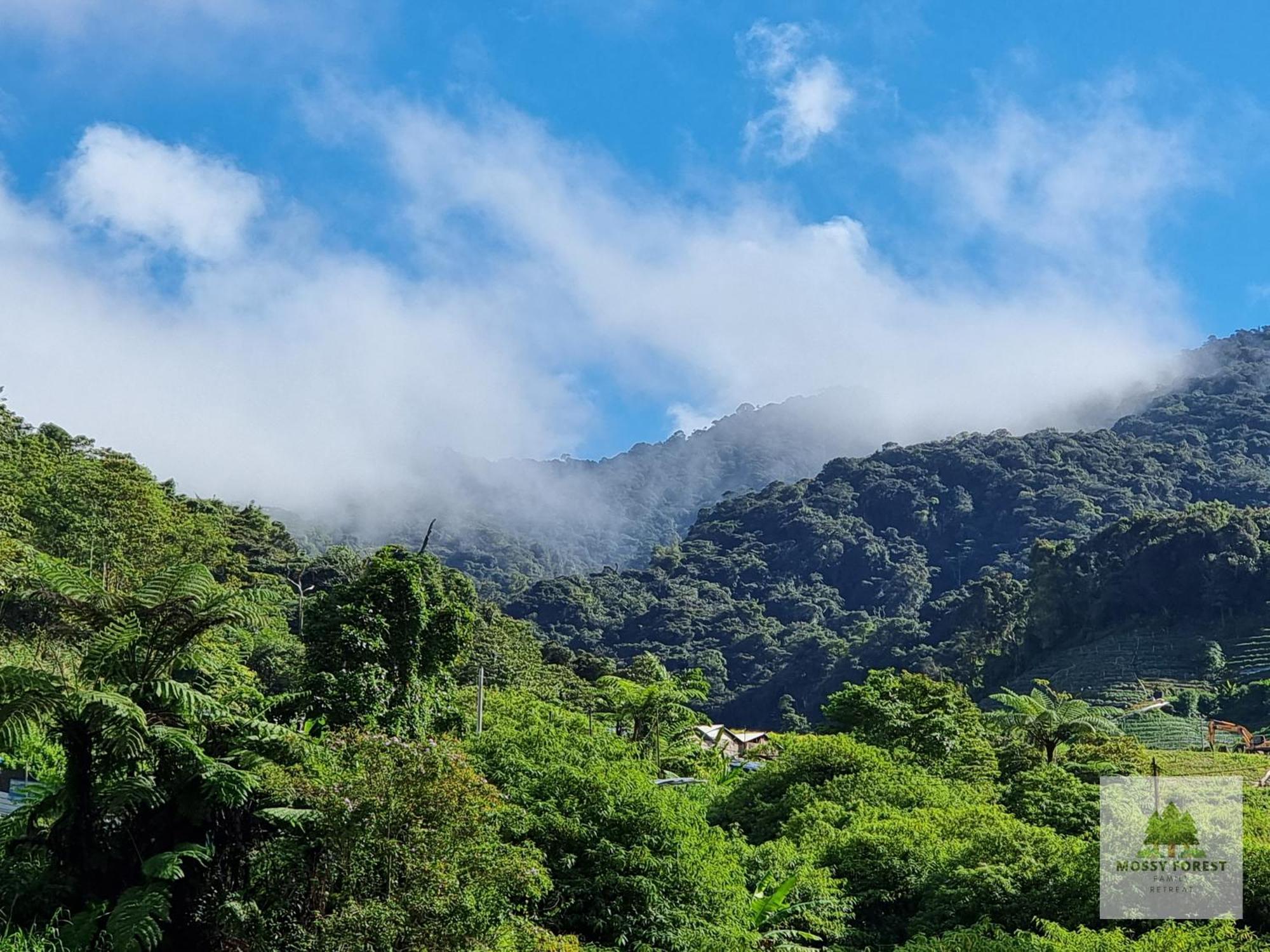 Clocktower 2 Homestay 2-7 Pax At Brinchang, Cameron Highlands Exteriör bild
