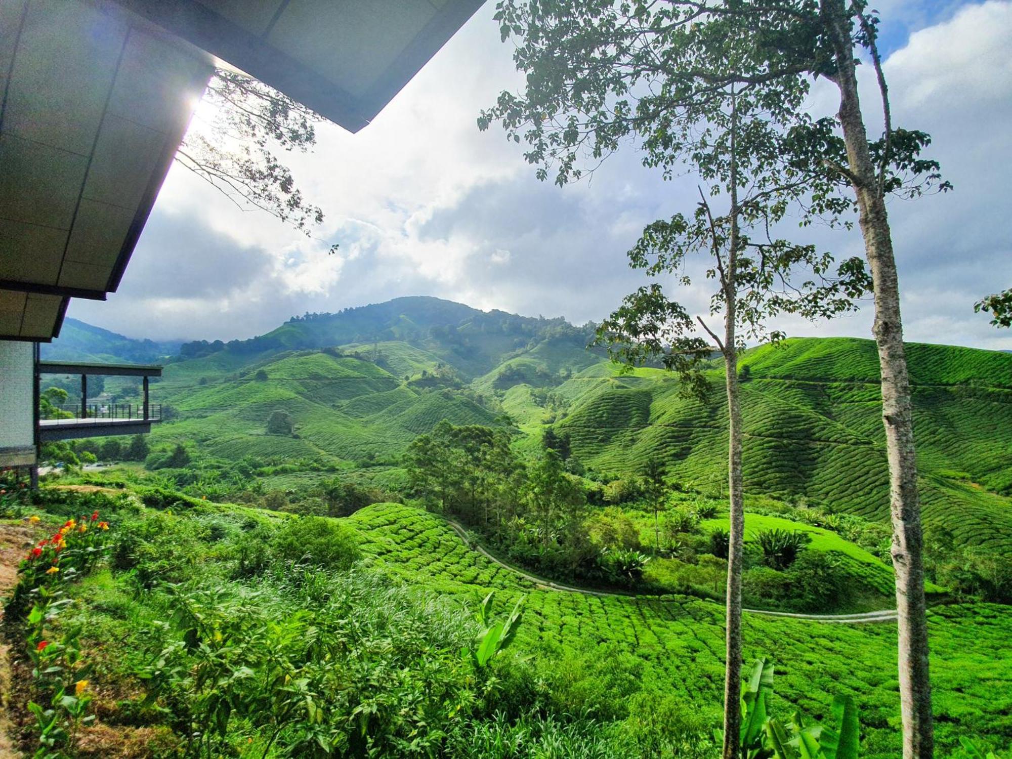 Clocktower 2 Homestay 2-7 Pax At Brinchang, Cameron Highlands Exteriör bild