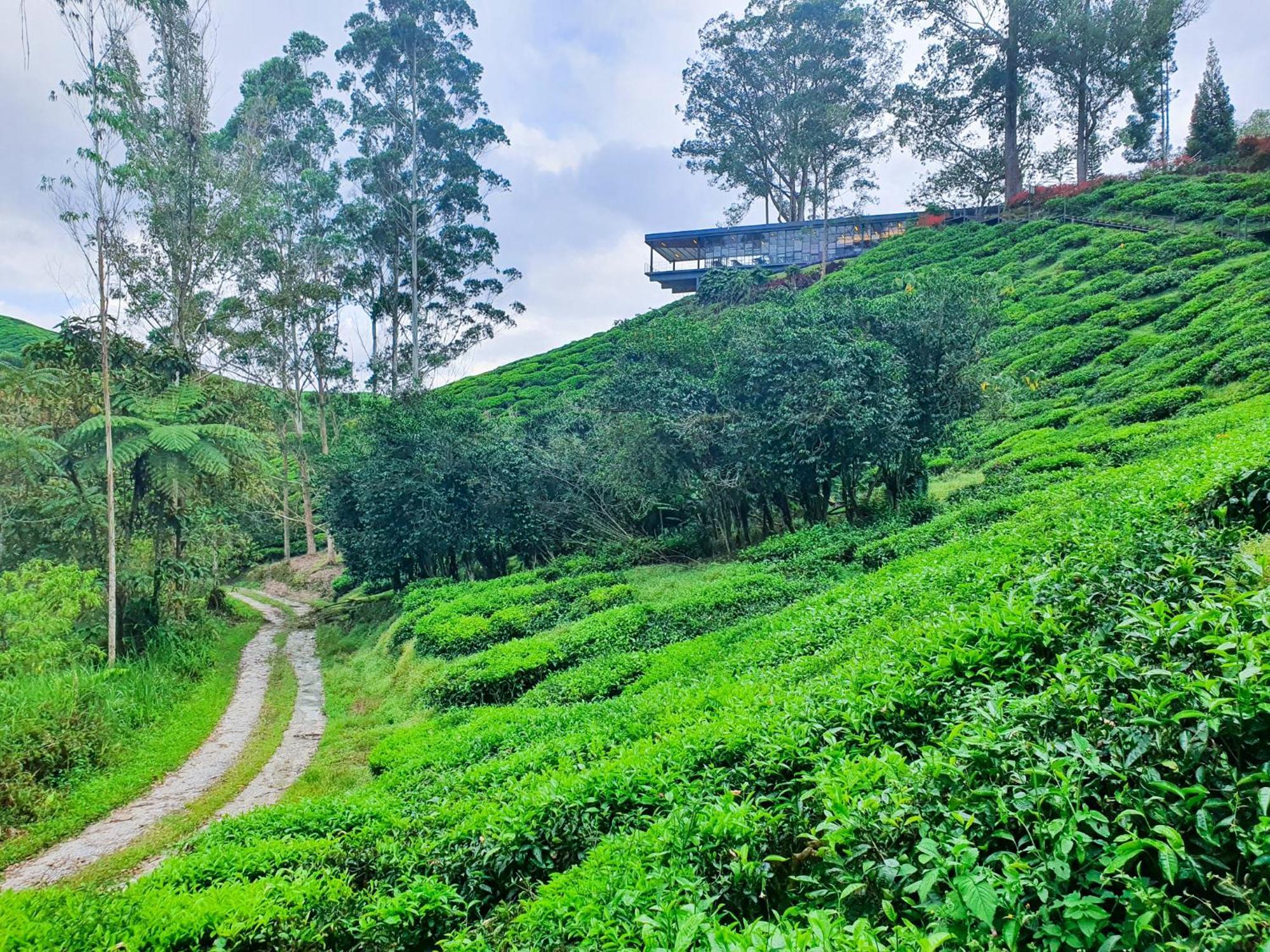 Clocktower 2 Homestay 2-7 Pax At Brinchang, Cameron Highlands Exteriör bild